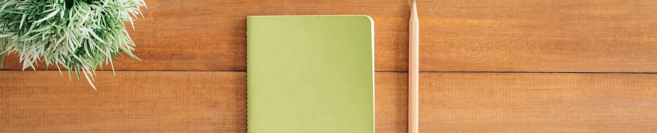⚡️ Turn Jupyter Notebooks into Blog Posts